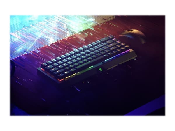 Razer BlackWidow V3 Mini HyperSpeed - näppäimistö - taustavalaistu - Bluetooth, 2.4 GHz, USB-C - QWERTY - USA - tastkontakt: Razer Green musta