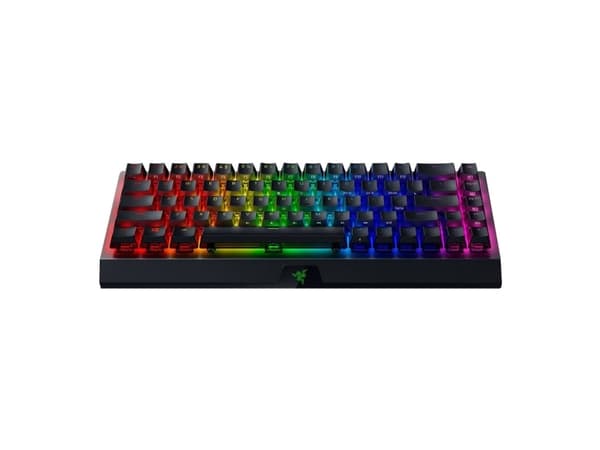Razer BlackWidow V3 Mini HyperSpeed - Phantom Edition - tangentbord - bakgrundsbelyst - trådlös - USB-C, 2.4 GHz, Bluetooth - QWERTY - amerikansk - t