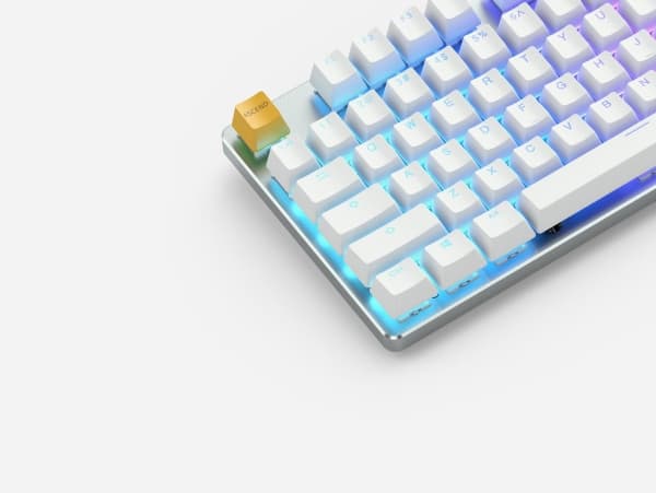 Glorious PC Gaming Race GMMK, Kabel, USB, Mekaniska tangentbrytare, QWERTY, RGB LED, Silver, Vit