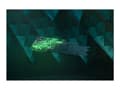 Miniatyrbild 5 av 5: Razer Huntsman V2 - Tangentbord - bakgrundsbelyst - USB - QWERTY - amerikansk - tangentbrytare: Razer Linear Optical Red