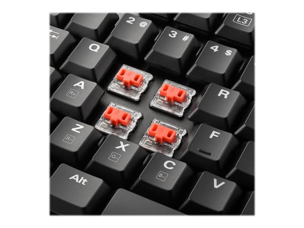 Sharkoon PureWriter RGB - Tangentbord - bakgrundsbelyst - USB - fransk - tangentbrytare: Kailh Red - svart