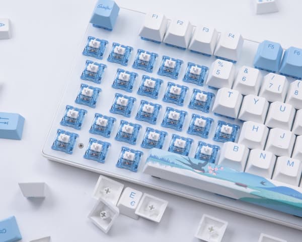 Swallow A87 TKL Hotswap LED Tastatur [Blue Sky]