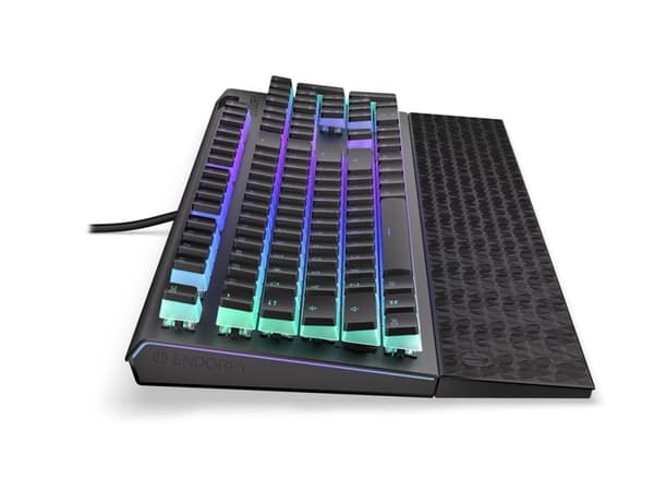 Endorfy Omnis - Tangentbord - bakgrundsbelyst - USB-C - tangentbrytare: Kailh Red RGB - svart, milky-black (pudding) tangenthättor