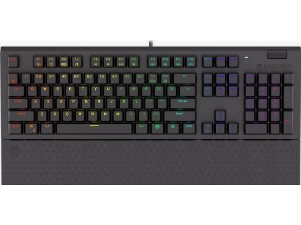 Endorfy Omnis - Tastatur - bakgrunnsbelyst - USB-C - tastsvitsj: Kailh Brown RGB - svart