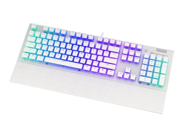 Endorfy Omnis - Tangentbord - bakgrundsbelyst - USB-C - tangentbrytare: Kailh Blue RGB - vit