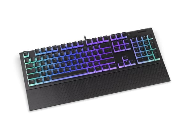 Endorfy Omnis - Tangentbord - bakgrundsbelyst - USB-C - tangentbrytare: Kailh Blue RGB - svart, milky-black (pudding) tangenthättor
