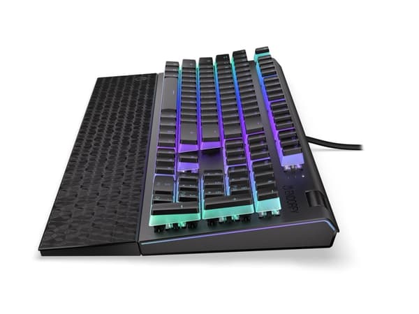 Endorfy Omnis - Tangentbord - bakgrundsbelyst - USB-C - tangentbrytare: Kailh Blue RGB - svart, milky-black (pudding) tangenthättor