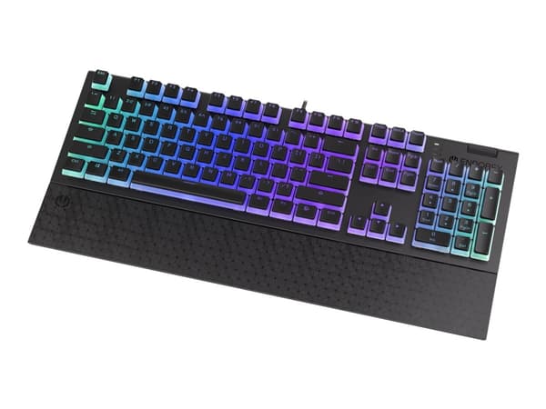 Endorfy Omnis - Tangentbord - bakgrundsbelyst - USB-C - tangentbrytare: Kailh Blue RGB - svart, milky-black (pudding) tangenthättor Svart