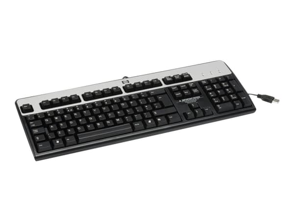 HP USB Standard Keyboard, Täysikokoinen (100 %), Langallinen, USB, QWERTY