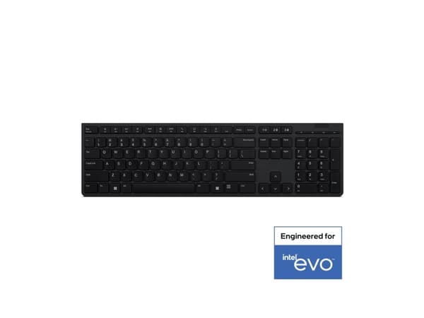 Lenovo Professional - Tangentbord - trådlös - Bluetooth, 2.4 GHz - QWERTY - Amerikansk engelska - tangentbrytare: Saxnyckel - grå - brun låda