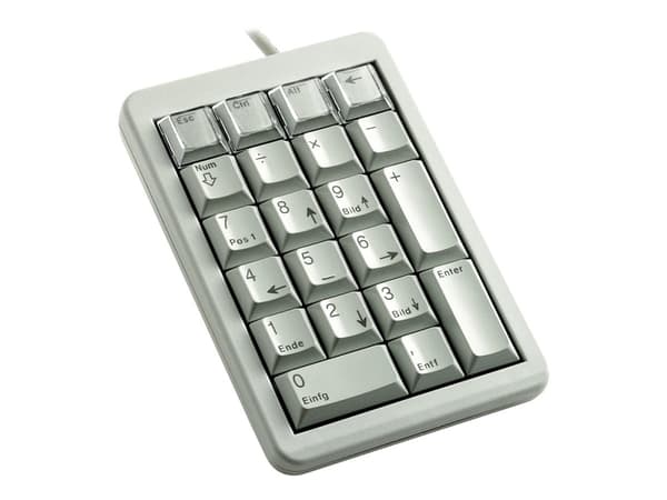 CHERRY ML4700 - Tastegruppe - USB - USA - lysegrå Grå