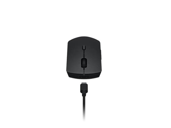 Lenovo Professional - Sats med tangentbord och mus - trådlös - Bluetooth, 2.4 GHz - Svenska/finska - tangentbrytare: Scissor-Switch - grå - brun låda