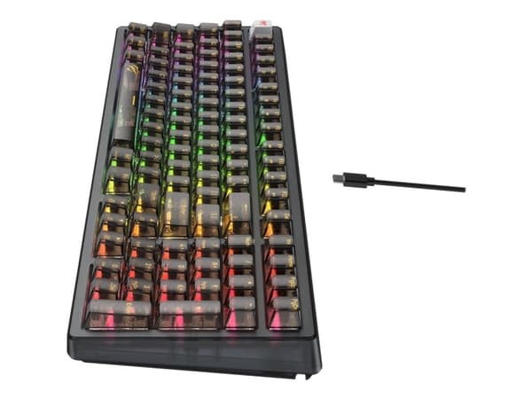 Havit KB875L, Koblet med ledninger (ikke trådløs), USB, Mekanisk nøkkelbryter, QWERTY, RGB LED, Sort