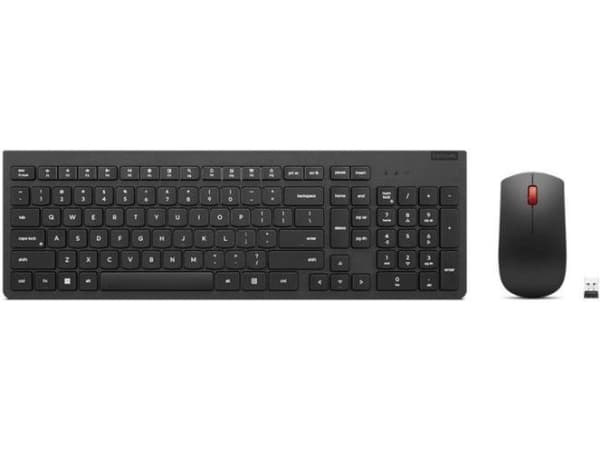Lenovo Professional - Sats med tangentbord och mus - trådlös - Bluetooth, 2.4 GHz - estnisk - tangentbrytare: Scissor-Switch - grå - brun låda