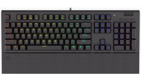 Endorfy herní klávesnice Omnis Kailh RD RGB / USB / red switch / drátová /mechanická/US layout/ černá RGB Svart