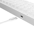 Miniatyrbild 4 av 8: White Shark GK-2022 Shinobi Red Switch, White US