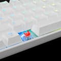 Miniatyrbild 5 av 8: White Shark GK-2022 Shinobi Red Switch, White US