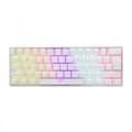 Miniatyrbild 1 av 8: White Shark GK-2022 Shinobi Red Switch, White US