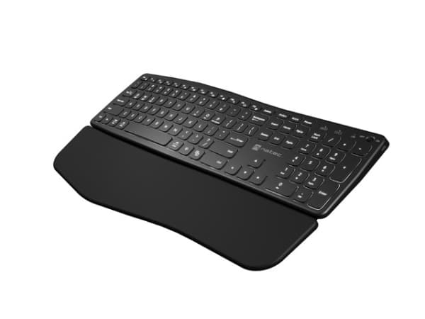 NATEC PORIFERA, Full størrelse (100 og), Trådløs, Bluetooth, Sakseformet tastebryter, QWERTY, Sort