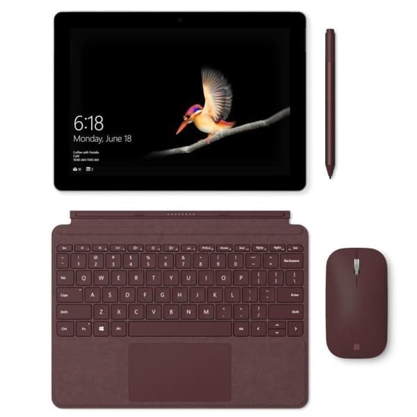 Typ Cover Surface Go Bordeaux