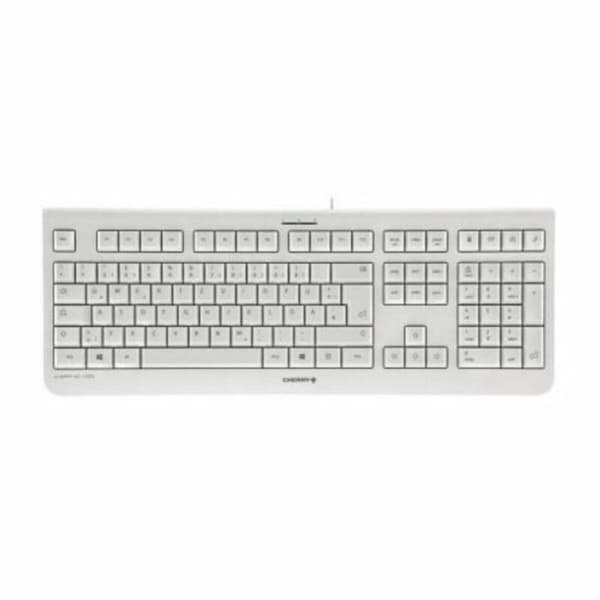 Tastatur Cherry JK-0800ES-0 Grå