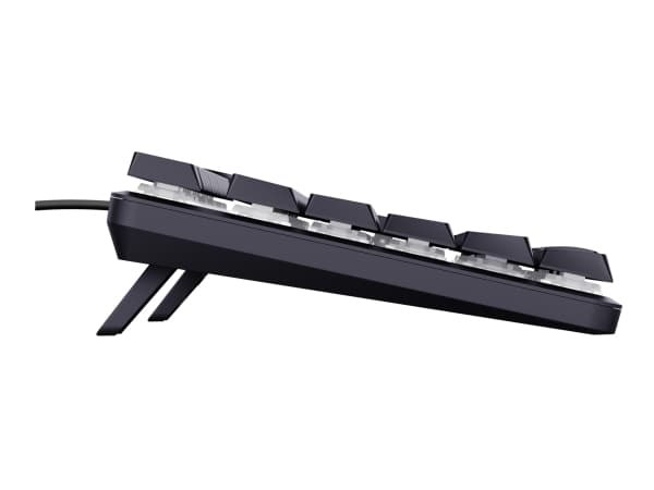 Trust GXT 866 TORIX, Wired, USB, Mechanical, QWERTY, RGB LED, Black