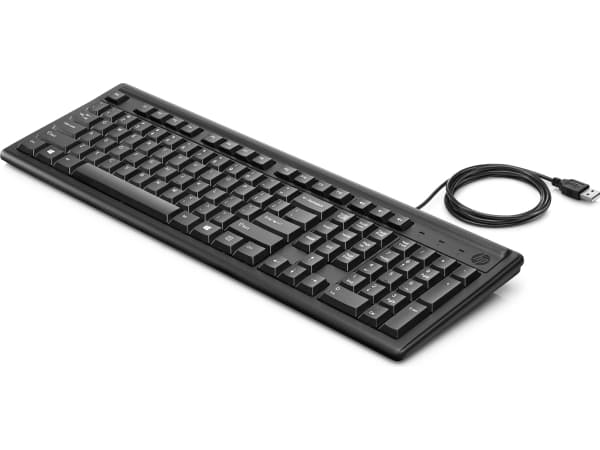 Klawiatura HP Keyboard 100 SWIS2