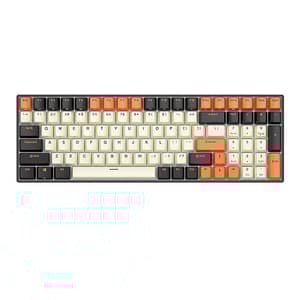 Mekaniskt tangentbord Royal Kludge RK100 RGB, brun switch (svart-orange)