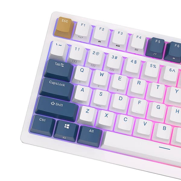 Mekanisk tastatur Royal Kludge RK98 RGB, rød switch (blå)