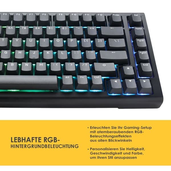 Le Ducky Tinker 75 Gaming Keyboard är ett högkvalitativt tangentbord som erbjuds av det berömda märket Ducky. Det här tangentbordet är en verklig