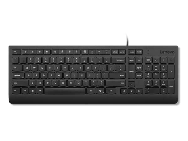 Lenovo Essential - Tangentbord - 2,5-zonslayout - USB - QWERTY - USA med eurosymbol - svart - brun låda
