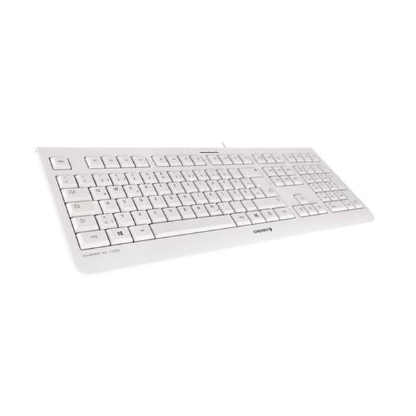 Näppäimistö Cherry JK-0800ES-0- Harmaa Espanjalainen Qwerty
