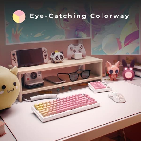 Tangentbordstangenter - Glorious - Pink Grapefruit - Filaire - Rose - Forge Gaming PC