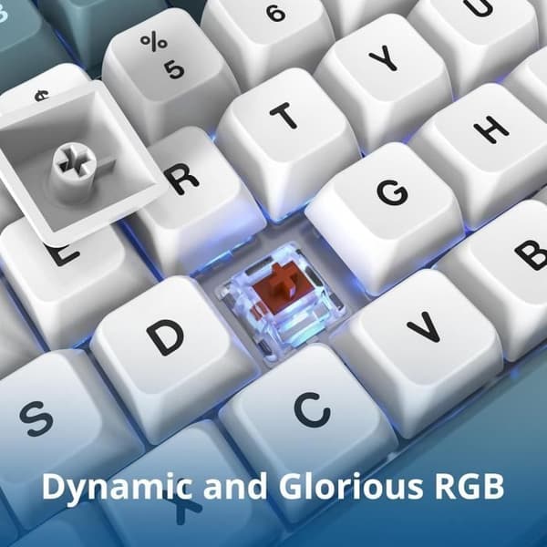 Klappar Mécanique - Montech - MKey TKL Freedom - Gateron Brown - RGB-bakgrundsbelysning - USB