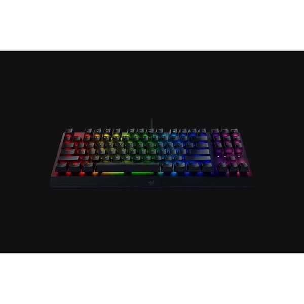 BLACKWIDOW V3 TENKEYLESS (GUL SWITCH) – AMERICAN RAZE LAYOUT