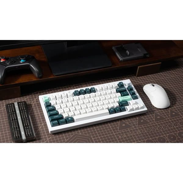 Keychron Q1 HE Nebula RGB-belysning utbytbar version tangent - Vit, US