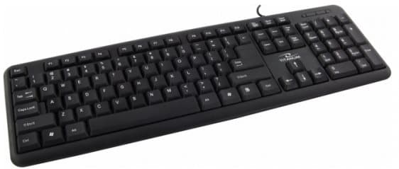 Esperanza TK102 tastatur PS/2 Sort