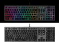 Miniatyrbillede 5 af 5: A4Tech FSTYLER FX60H (neon baggrundsbelyst) tastatur USB QWERTY Sort, Grå