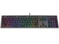 Miniatyrbillede 2 af 5: A4Tech FSTYLER FX60H (neon baggrundsbelyst) tastatur USB QWERTY Sort, Grå