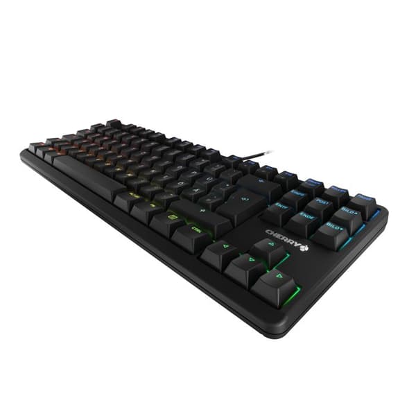 Cherry Clavier CHERRY G80-3000