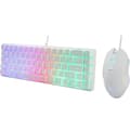 Miniatyrbillede 3 af 6: 2-i-1 gamerpakke - THE G-LAB - COMBO HYDRO - Kablet mus - Kablet tastatur