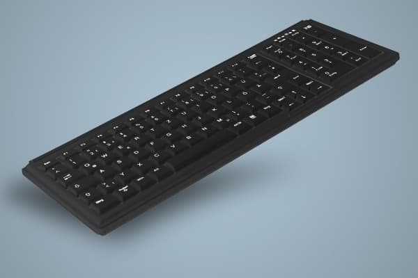 Active Key AK-7000 - Tangentbord - PS/2 - amerikansk - svart