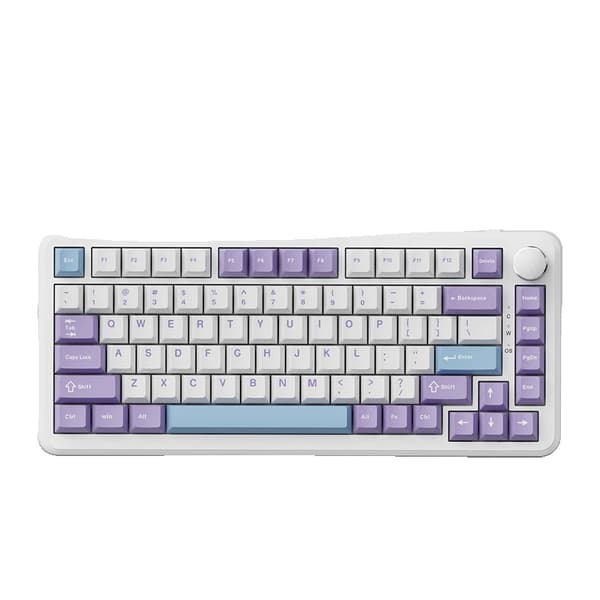 Mekaniskt tangentbord, 82 tangenter, hot-swappable brytare, PBT-tangenter,LILA