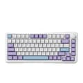 Miniatyrbild 1 av 2: Mekaniskt tangentbord, 82 tangenter, hot-swappable brytare, PBT-tangenter,LILA