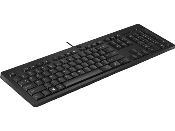 HP 125 trådbundet tangentbord, Fullstor (100 %), Kabel, USB, Svart