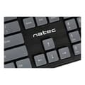 Miniatyrbillede 10 af 10: Tastatur Natec NKL-1829 Grøn Engelsk EEUU QWERTY