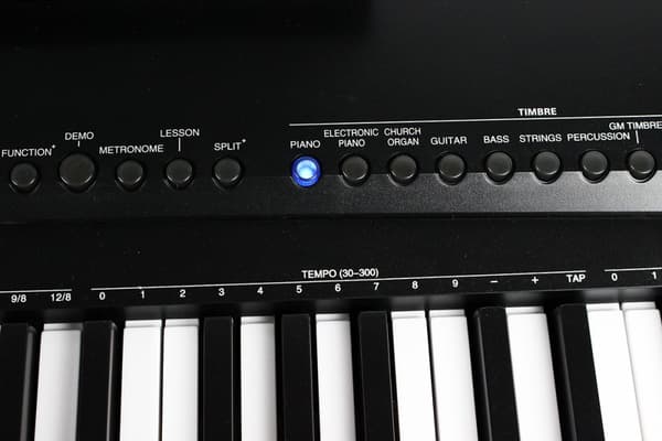 Bryce Music 88 tangent keyboard