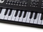 Elektronisk orgel - 61 tangenter med mikrofon