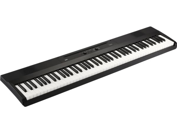 Korg Liano, Akku, DC, 5 W, AA, 1282 mm, 290 mm, 73 mm