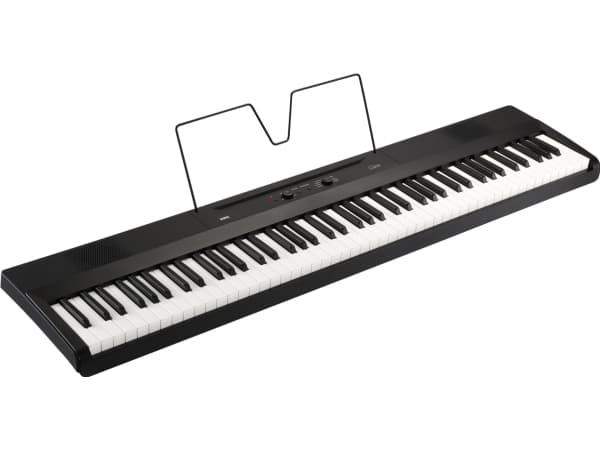 Korg Liano, Akku, DC, 5 W, AA, 1282 mm, 290 mm, 73 mm